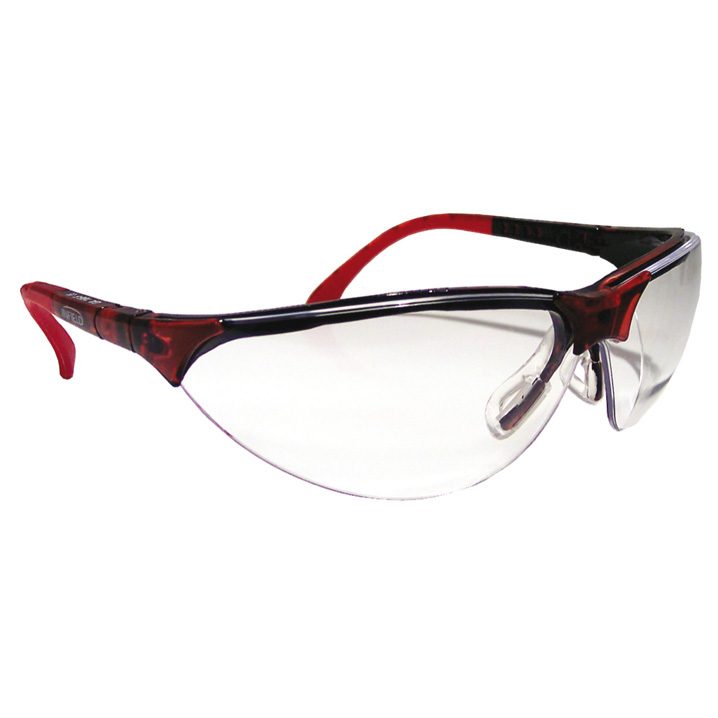 Lunettes de protection TERINATOR transparentes